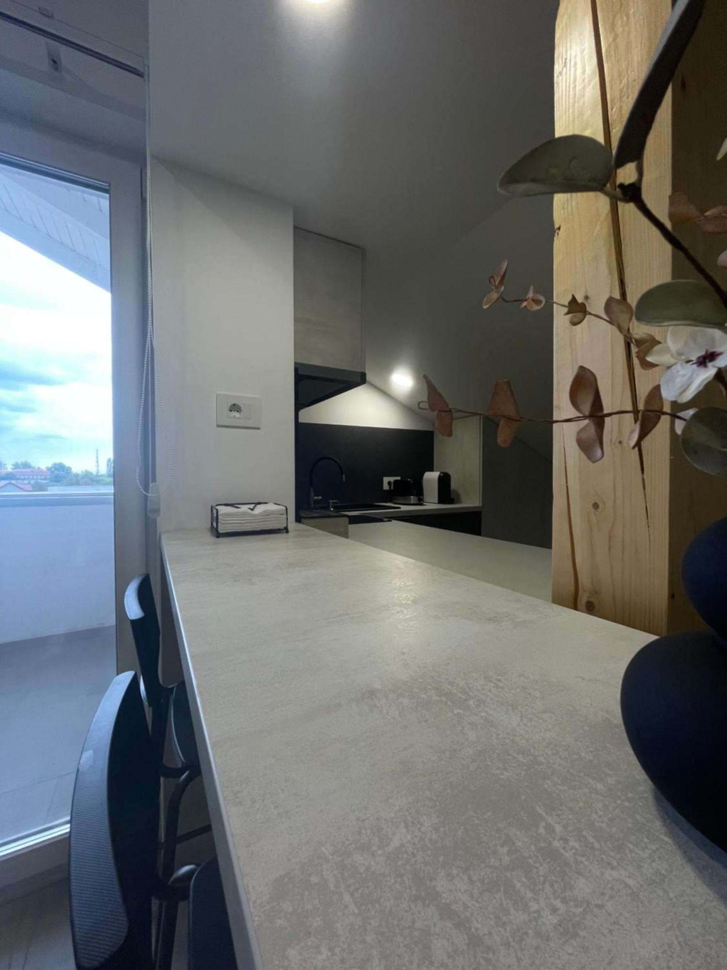 Comfort & Luxury Apartaments Pnmresidence Timisoara Bagian luar foto