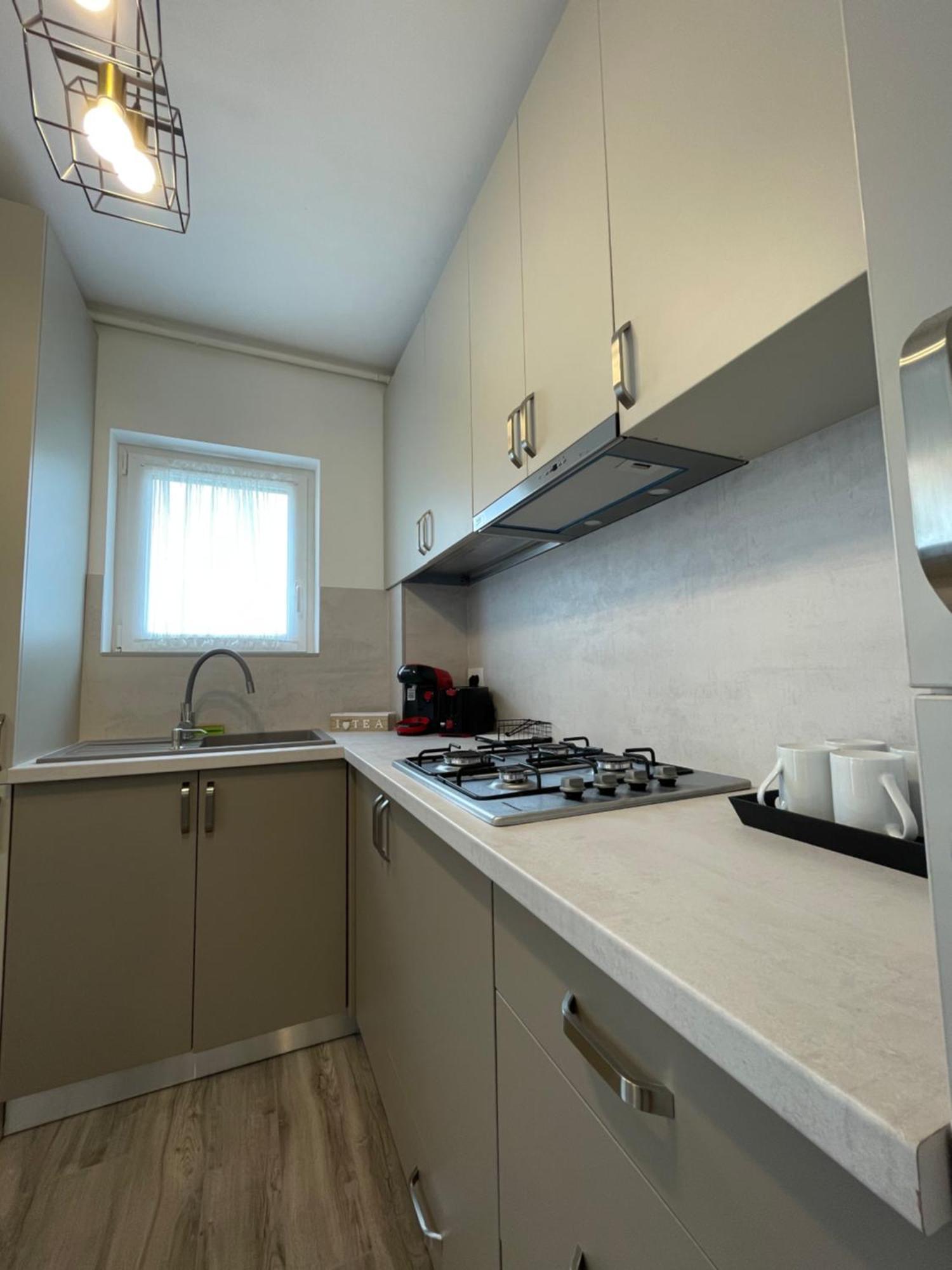 Comfort & Luxury Apartaments Pnmresidence Timisoara Bagian luar foto